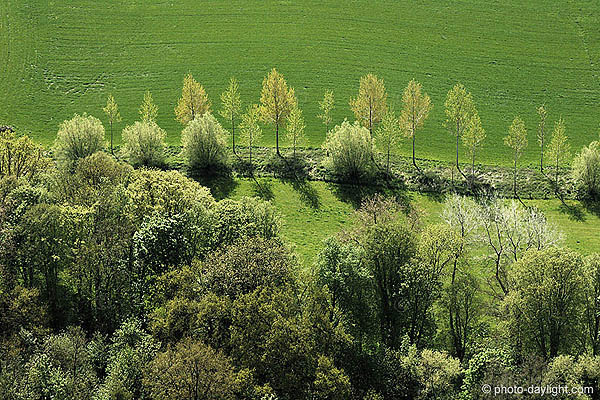 agriculture